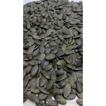 Suministro nuevo cultivo de crujir semilla de calabaza de piel